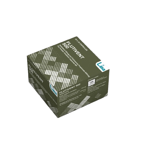 Flutivent 500